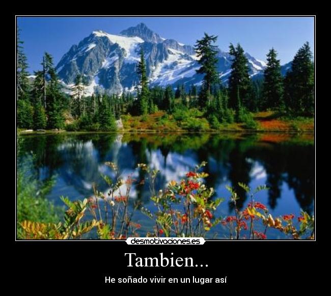 Tambien... -