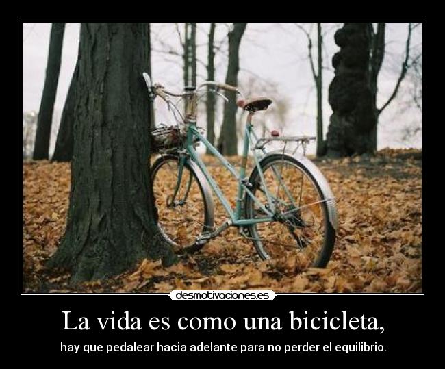La vida es como una bicicleta, - hay que pedalear hacia adelante para no perder el equilibrio.