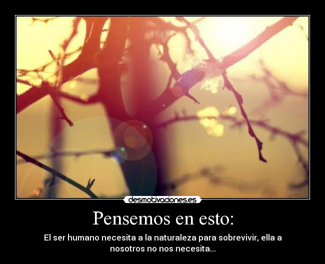 Pensemos en esto: - El ser humano necesita a la naturaleza para sobrevivir, ella a
nosotros no nos necesita...