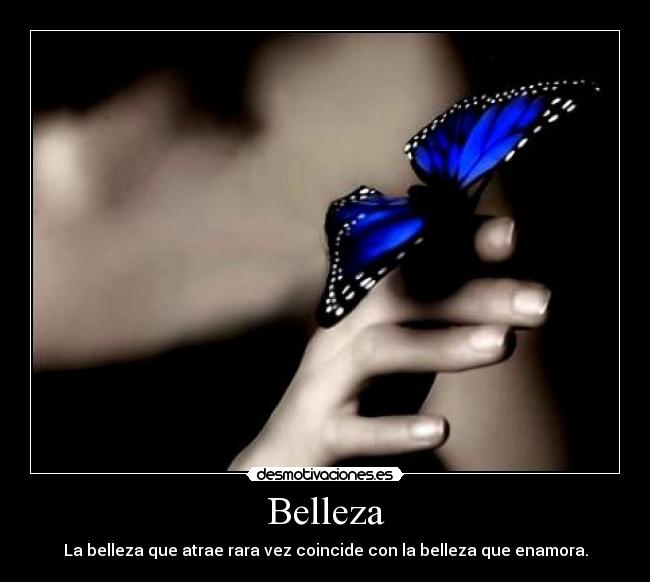 carteles belleza desmotivaciones