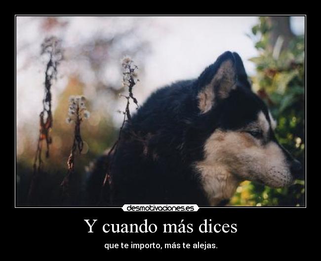 carteles bulma272 tercera vez que subo desmotivaciones