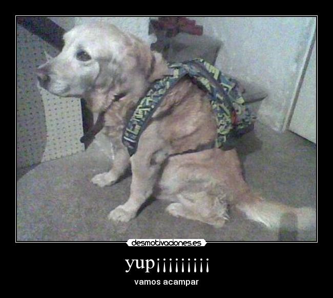 carteles gua desmotivaciones