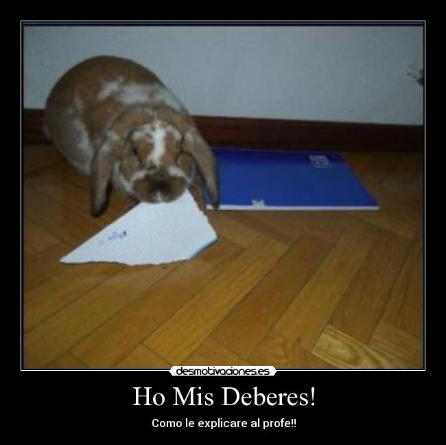 Ho Mis Deberes! - Como le explicare al profe!!