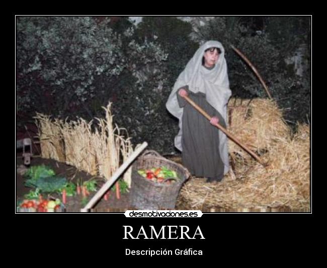 RAMERA - Descripción Gráfica