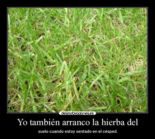 Yo también arranco la hierba del - suelo cuando estoy sentado en el césped.