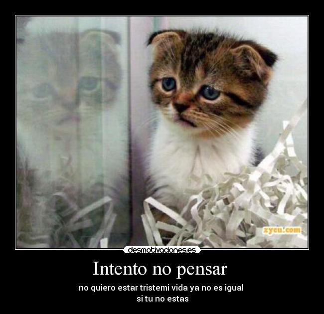 Intento no pensar -