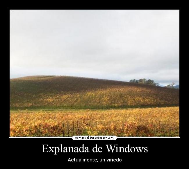 Explanada de Windows - Actualmente, un viñedo