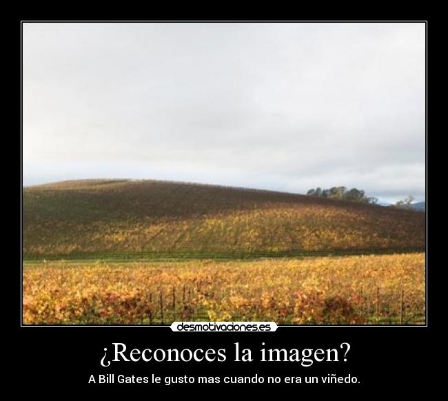 ¿Reconoces la imagen? -