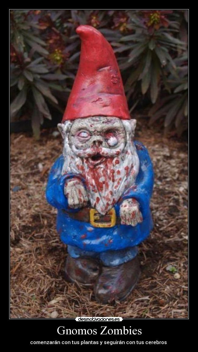 Gnomos Zombies - 