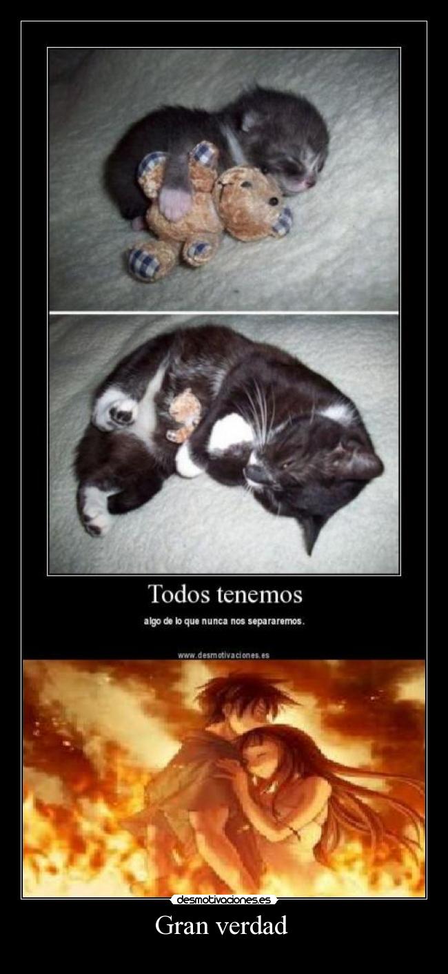 Gran verdad - ♥ ♥ ♥ ♥ ♥ ♥ ♥ ♥ ♥ ♥ ♥ ♥ ♥ ♥ ♥ ♥ ♥ ♥ ♥ ♥ ♥ ♥ ♥ ♥ ♥ ♥ ♥ ♥ ♥ ♥ ♥ ♥ ♥ ♥ ♥ ♥ ♥ ♥ ♥