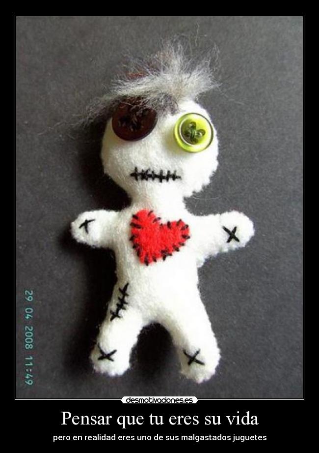 carteles vida peluche desmotivaciones