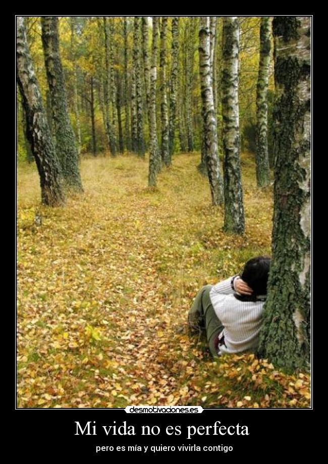 Mi vida no es perfecta  - 