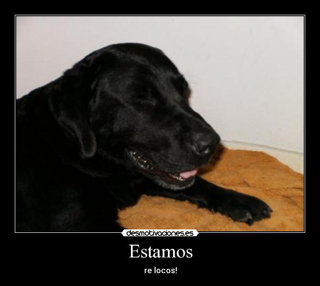 Estamos -