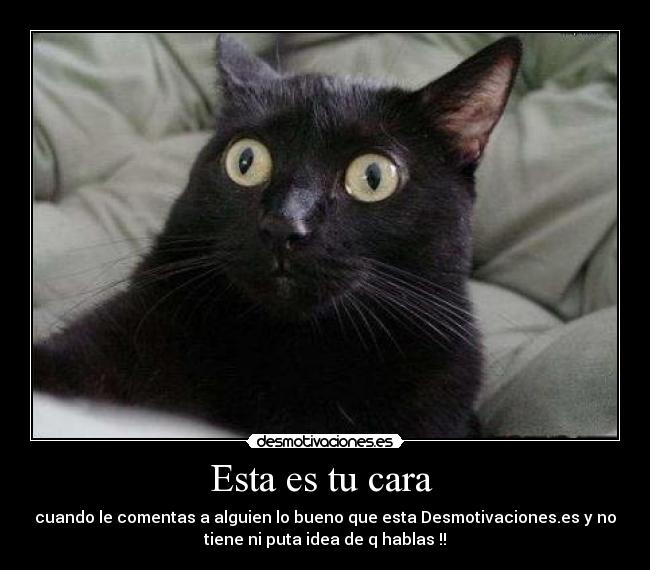 Esta es tu cara  - cuando le comentas a alguien lo bueno que esta Desmotivaciones.es y no
tiene ni puta idea de q hablas !!