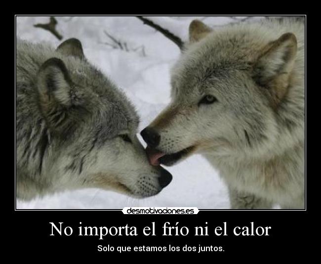 No importa el frío ni el calor -