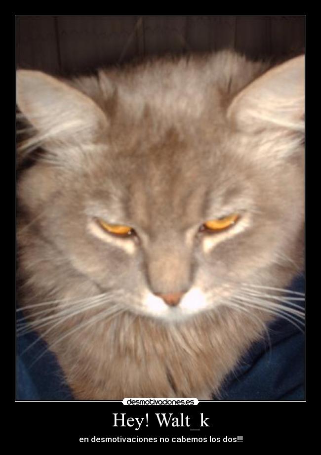 Hey! Walt_k - en desmotivaciones no cabemos los dos!!!