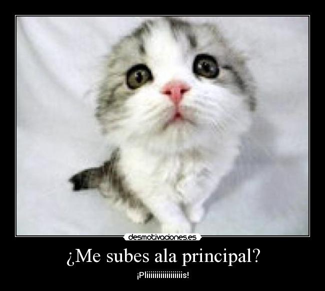 ¿Me subes ala principal? - 