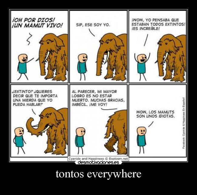 tontos everywhere -