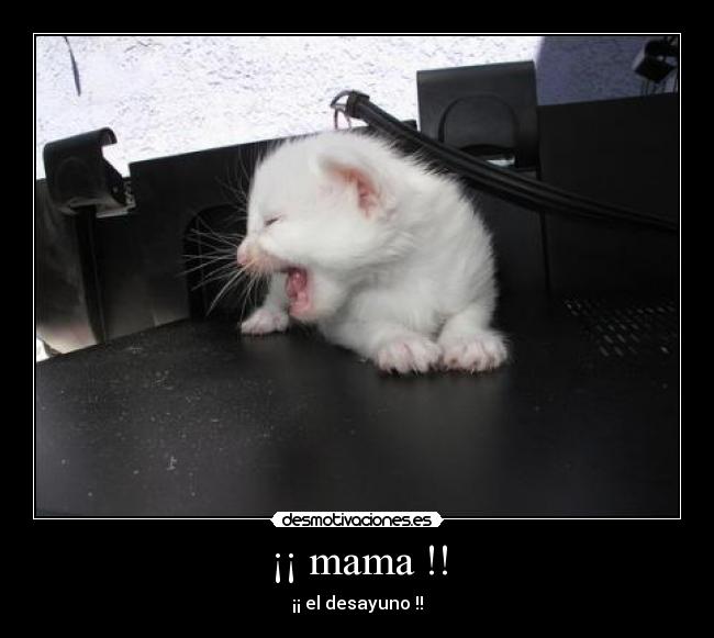 ¡¡ mama !! - 
