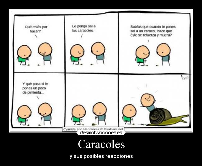 Caracoles - y sus posibles reacciones