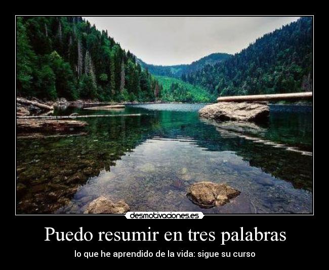 Puedo resumir en tres palabras - lo que he aprendido de la vida: sigue su curso