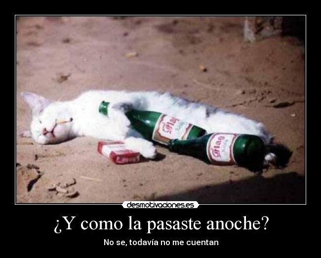 ¿Y como la pasaste anoche? - No se, todavía no me cuentan