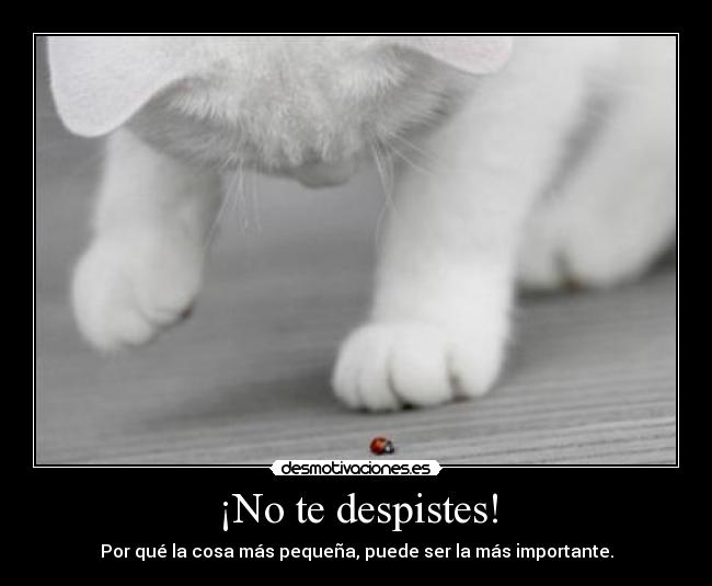 ¡No te despistes! - 