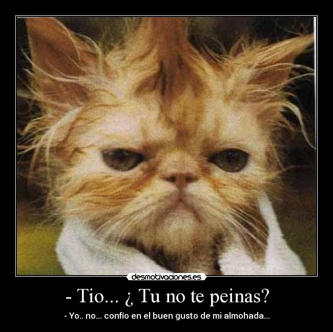 - Tio... ¿ Tu no te peinas? -