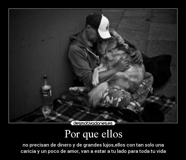 Por que ellos -