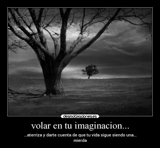 volar en tu imaginacion... -