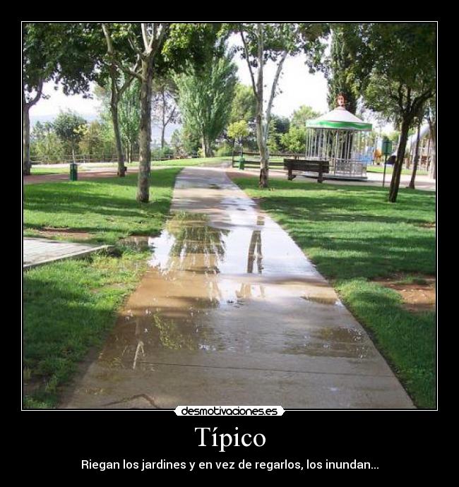 carteles tipico desmotivaciones