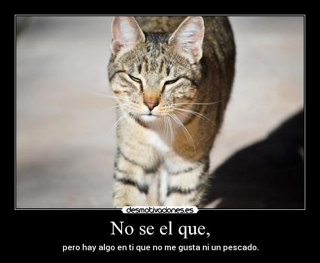 No se el que, - pero hay algo en ti que no me gusta ni un pescado.