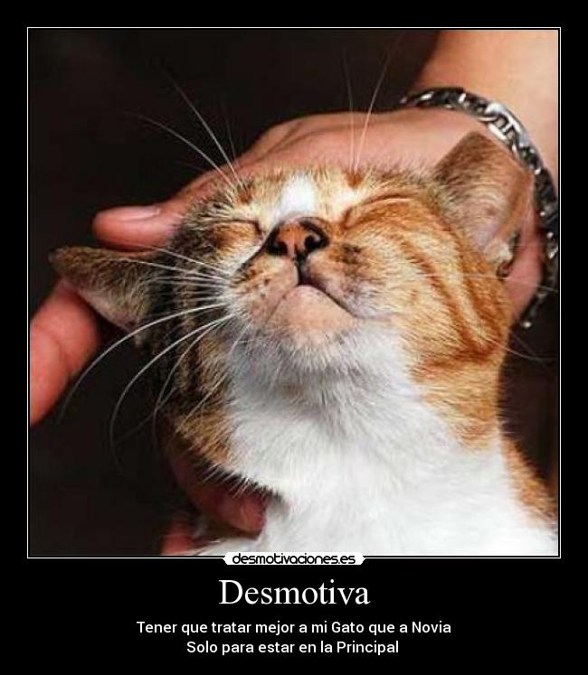 Desmotiva - 