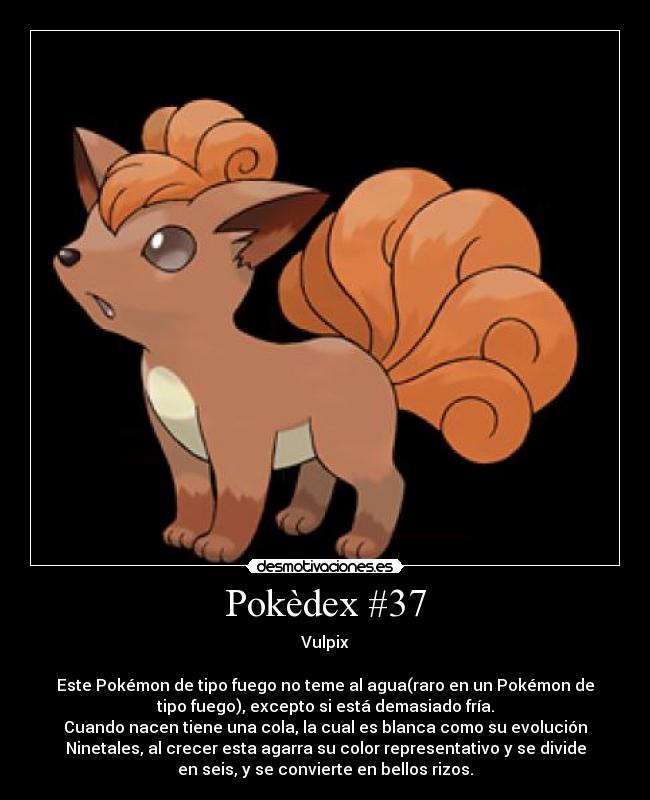 Pokèdex #37 - Vulpix

Este Pokémon de tipo fuego no teme al agua(raro en un Pokémon de
tipo fuego), excepto si está demasiado fría.
Cuando nacen tiene una cola, la cual es blanca como su evolución
Ninetales, al crecer esta agarra su color representativo y se divide
en seis, y se convierte en bellos rizos.