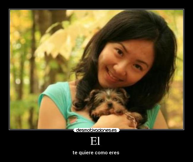 El - te quiere como eres