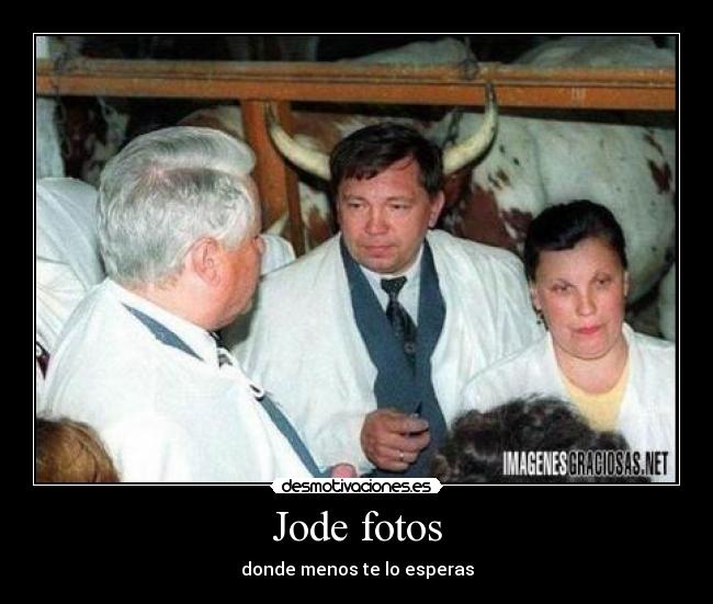 carteles daniduff desmotivaciones