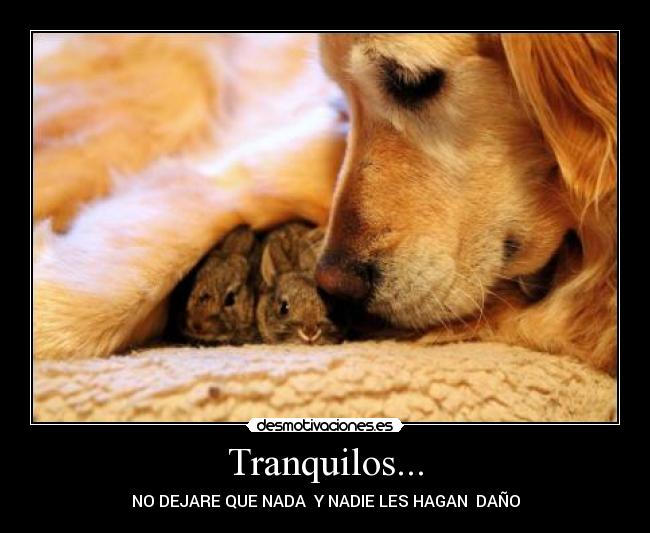 Tranquilos... - 