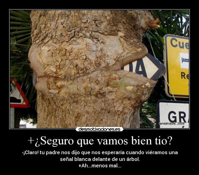 +¿Seguro que vamos bien tio? - -¡Claro! tu padre nos dijo que nos esperaría cuando viéramos una
señal blanca delante de un árbol.
+Ah...menos mal...