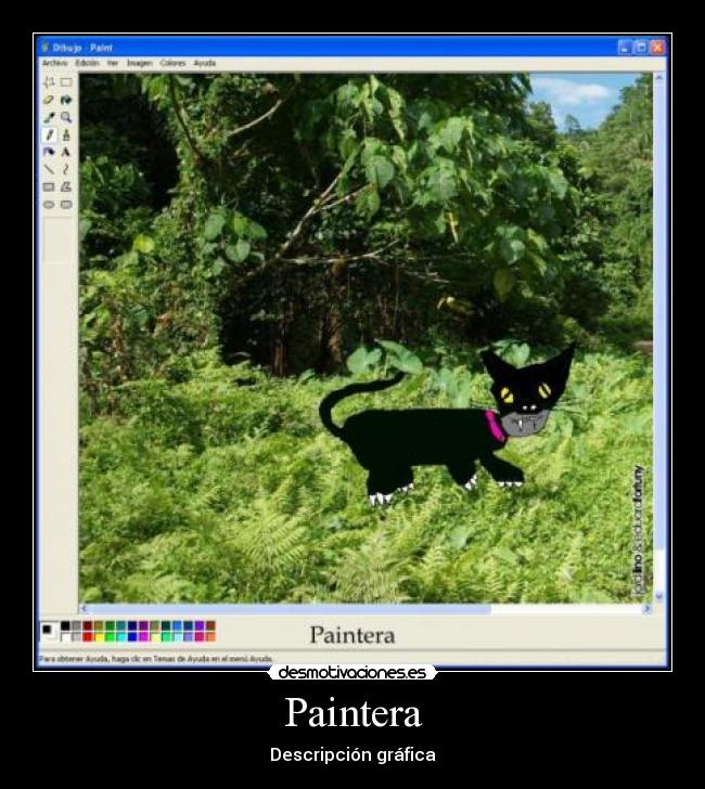 Paintera - 