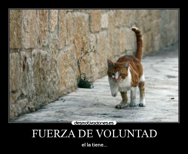 FUERZA DE VOLUNTAD -