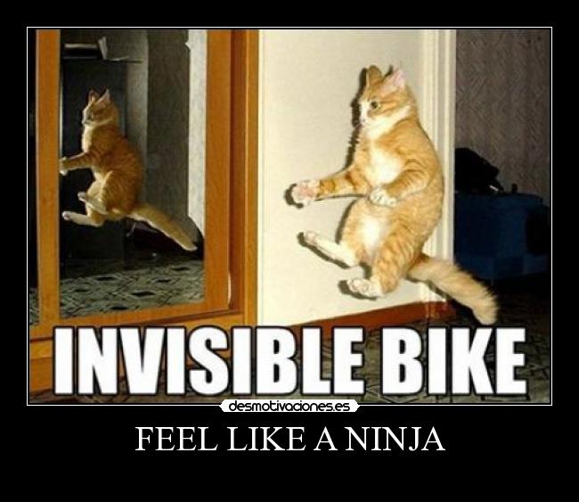 FEEL LIKE A NINJA -
