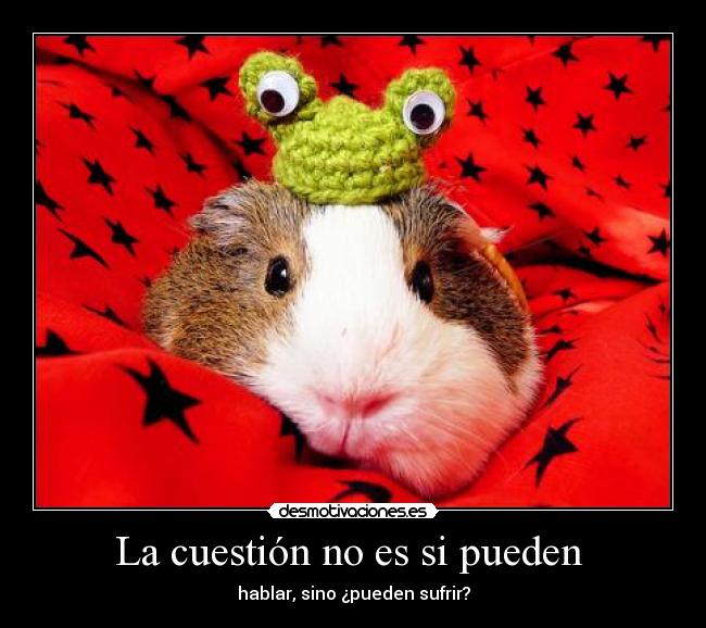 La cuestión no es si pueden  - hablar, sino ¿pueden sufrir?