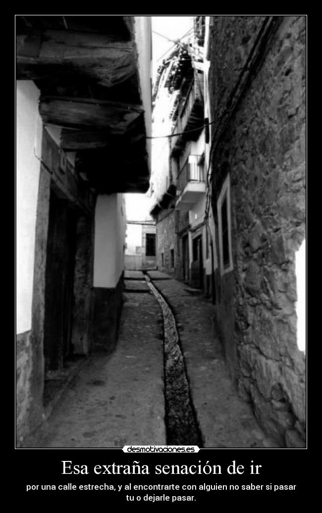 carteles httpaskfmemiliasv desmotivaciones