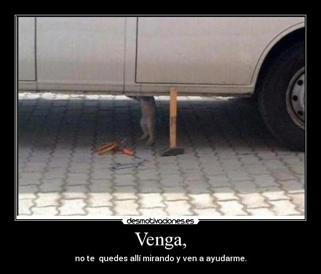 Venga, - no te quedes allí mirando y ven a ayudarme.