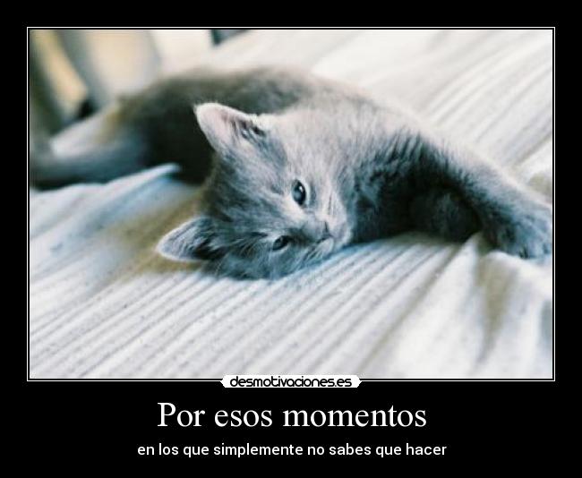 Por esos momentos - 