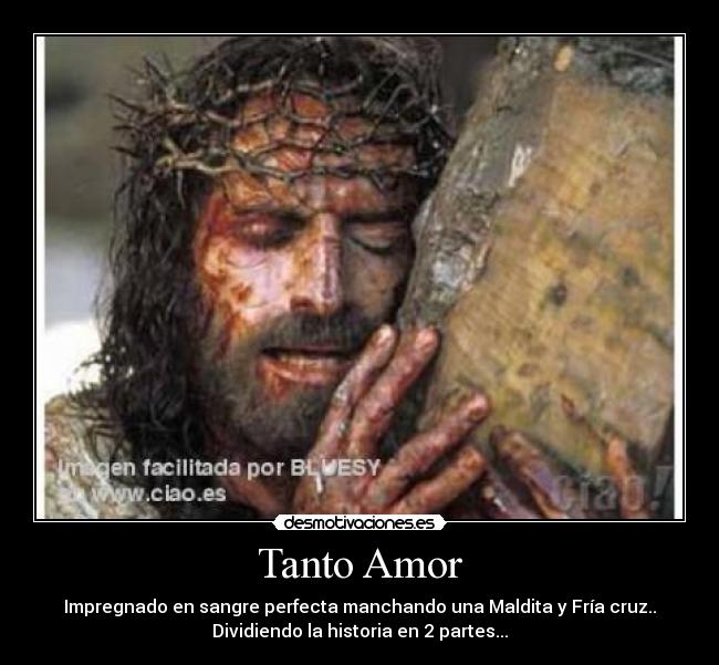 Tanto Amor -