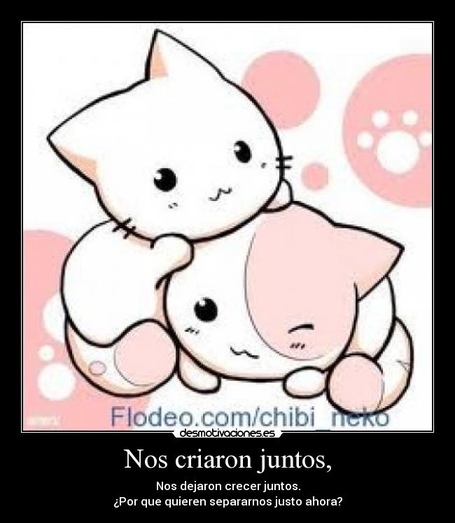 Nos criaron juntos, - Nos dejaron crecer juntos.
¿Por que quieren separarnos justo ahora?