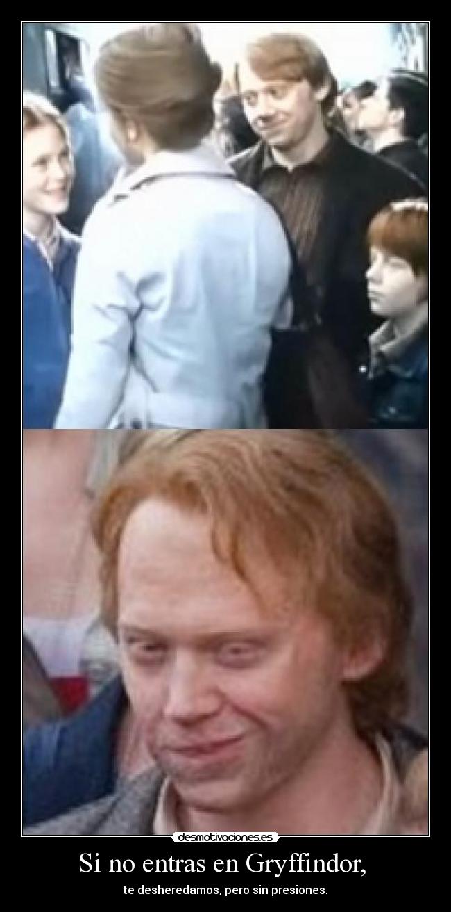 carteles ron ronald weasley hermione gryffindor desheredaos sin pero presiones harry potter epilogo desmotivaciones