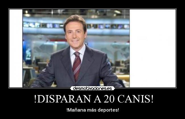 !DISPARAN A 20 CANIS! -