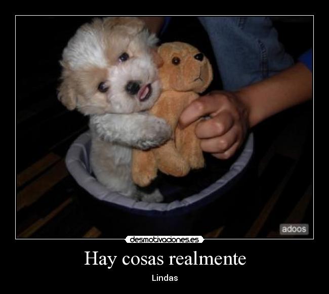 Hay cosas realmente -
